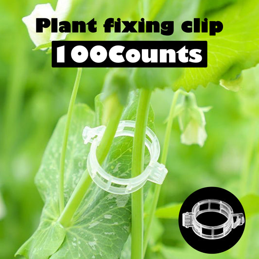 100 Counts Plant Support Clips, Tomato Plastic Trellis Clips, Garden Support Clips for Grape Tomato Vine Vegetables Plants for Upright and Healthy Growth, White