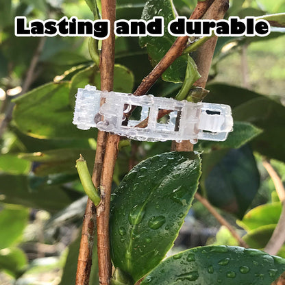 100 Counts Plant Support Clips, Tomato Plastic Trellis Clips, Garden Support Clips for Grape Tomato Vine Vegetables Plants for Upright and Healthy Growth, White