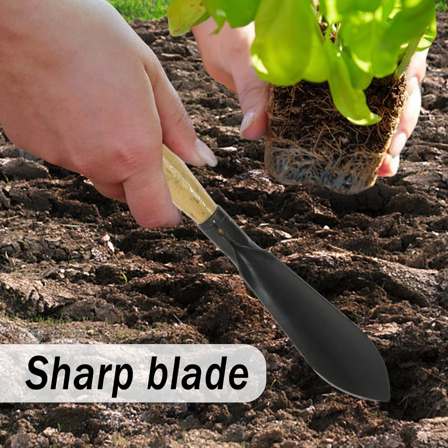 2 Counts Garden Shovel Garden Pointed with Pointed Tip and Flat Tip, Wooden Handle Black Manganese Steel Garden Shovel,  Essential Gardening Tools for Easy Plant Cultivation